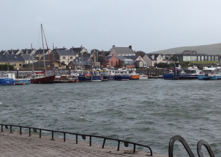 The harbor - Dingle is primarily a fishing village. 