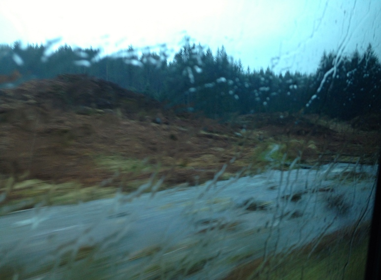 I know these pictures are a little difficult to see, but I wanted to try to record a little bit of Scottish countryside. 